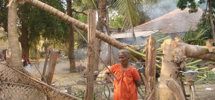 Sri Lanka, una mattanza senza tregua. Migliaia di vittime tra i civili e a nulla valgono gli appelli internazionali. Sri Lanka, una mattanza senza tregua. Migliaia di vittime tra i civili e a nulla valgono gli appelli internazionali.